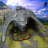 gallery thumb image