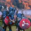 gallery thumb image