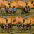 gallery thumb image